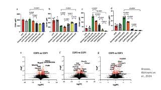 Crystallinity of covalent organic frameworks controls immune responses