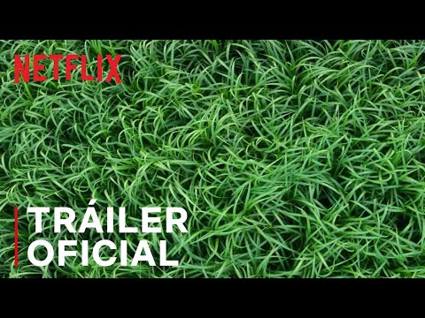 Trailer En la hierba alta