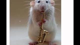 A Man Ain't A Man- Louis Jordan