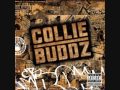 Collie Buddz   Come Around