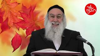 מעל הזמן והמקום ו שיעור בספרי רבי נחמן ברסלב ו הרב ברוך זרובבל (הרב ברוך זרובבל) - התמונה מוצגת ישירות מתוך אתר האינטרנט יוטיוב. זכויות היוצרים בתמונה שייכות ליוצרה. קישור קרדיט למקור התוכן נמצא בתוך דף הסרטון