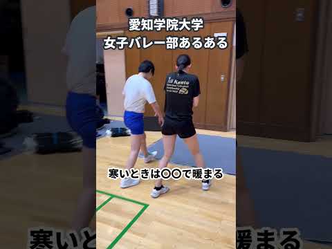 アオスタバレー大学 - 定義