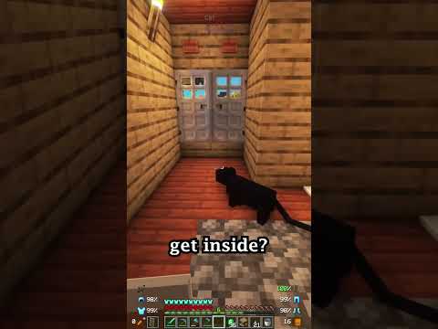 CURIOUS BLACK CAT in Minecraft!? 😍