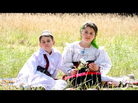 Oana Larisa Pop   Câte frunze îs în nuc 2019