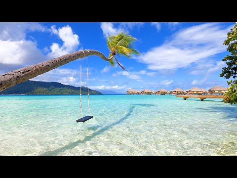 Island Paradise: 3 Hours of French Polynesia Ambience From Relaxing Taha'a