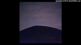 Sean McCann - In the Dim