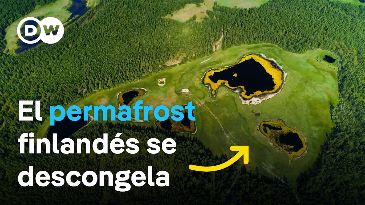 Pantanos que se derriten - ¿Cómo puede la naturaleza frenar el cambio climático? | DW Documental