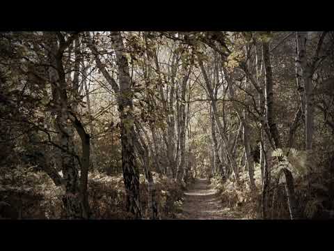 Duet Radulović, Jovanović, Portret