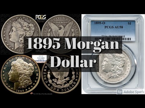 Extremely Rare 1895 Morgan Dollar | History And The Basics You Should Know