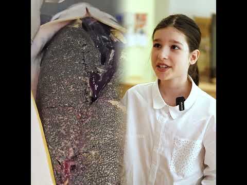 3 cookies for 36 rubles #vikazang #vikazhan #humor