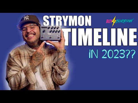 Should you buy a STRYMON TIMELINE in 2023?!?! (BuyOrBorrow Music)
