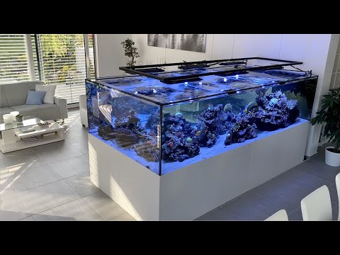 GERMAN REEF TANKS - 4000 Liter / 890 gallon exclusive reef tank tour #meerwasseraquarium #aquarium