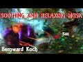 Soothing & Relaxing Music + Bernward Koch + She