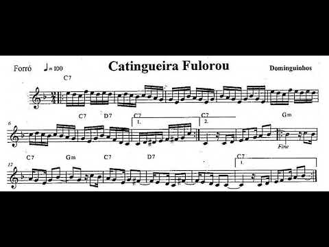 Catingueira Fulorou - Dominguinhos