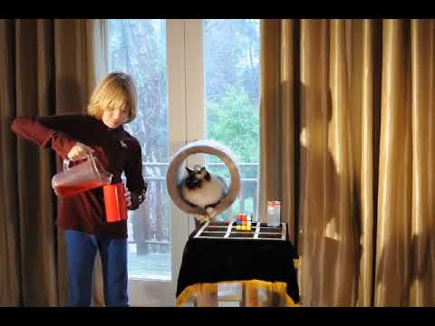 Milk Pitcher with vanishing milk