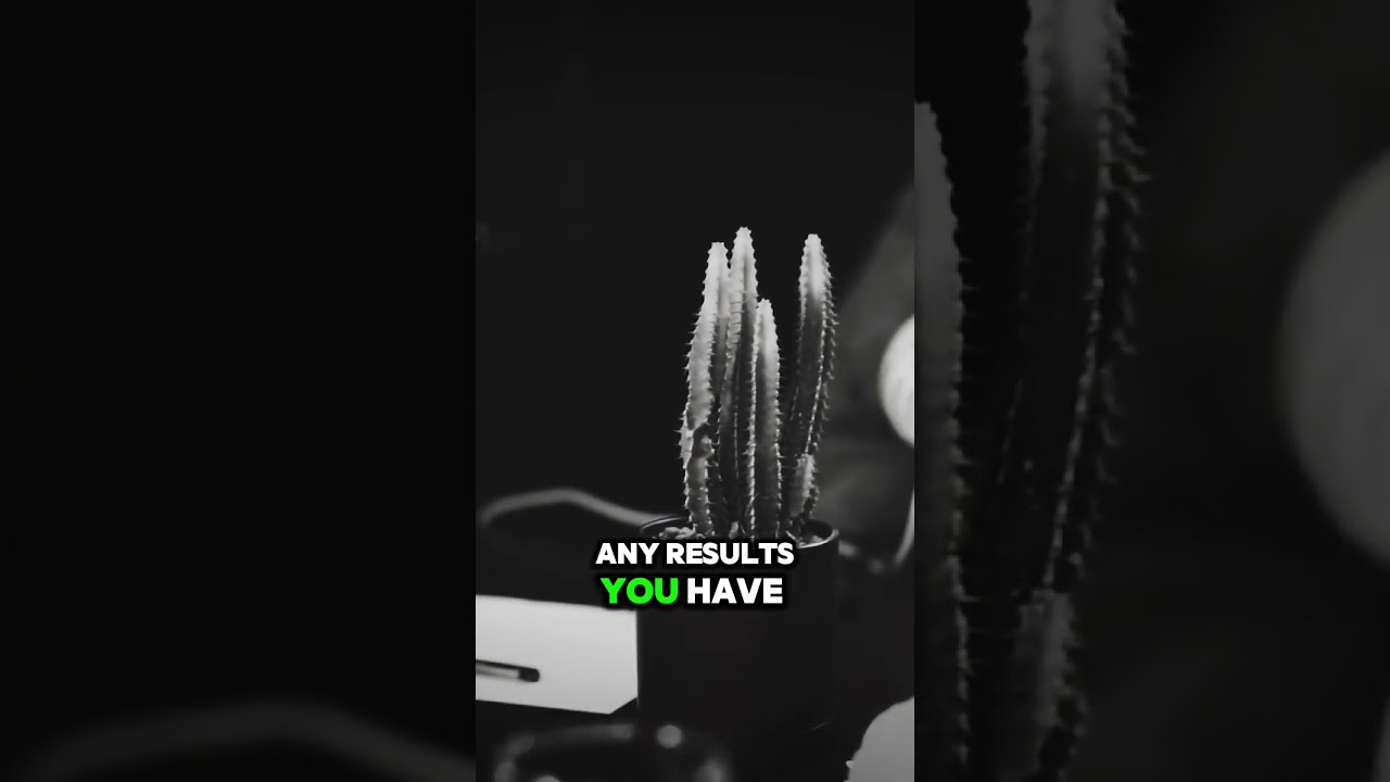 Create a Media Kit That CONVERTS! 📊