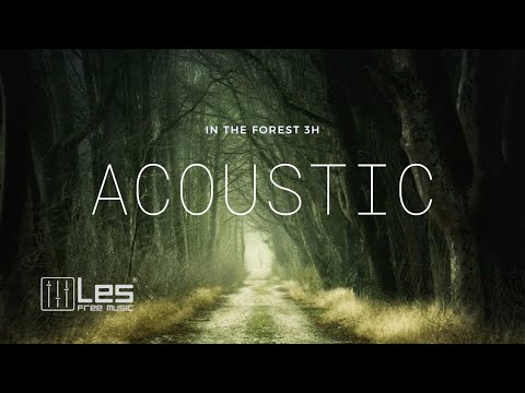[ Study Sleep Relax🌳 ] In The Forest 3H  - Acoustic Background Music (Royalty Free) Lesfm