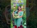 Vegetable Harvesting Aaj Phir Se