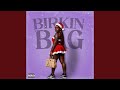 Birkin Bag