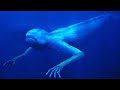 5 EXTREMELY CREEPY Deep Sea Creatures 