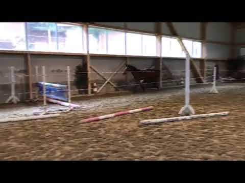 Independence Touch BBA (2016) v.  Pr.H. United Touch S-Lando