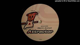 The Attractor - Didgi Man