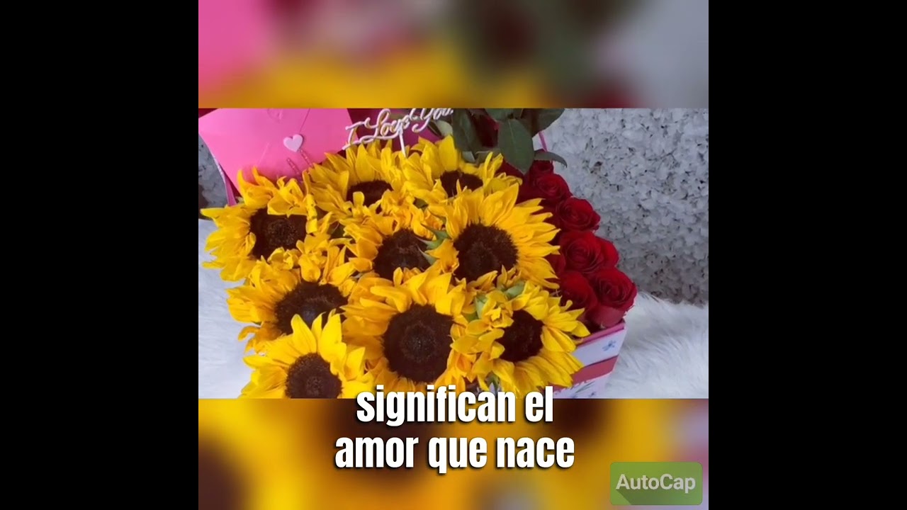 CAJA DE ROSAS y Girasoles y Rosas 🌹🌻