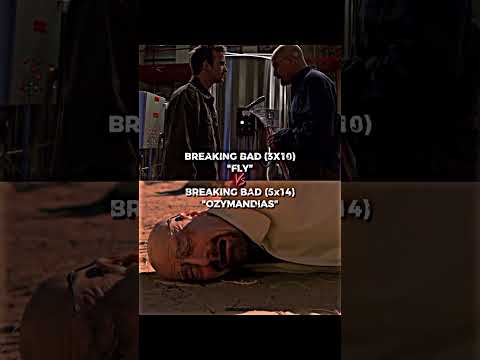 Breaking Bad: Fly Vs Ozymandias