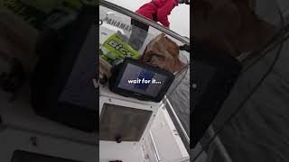 Caught A MASSIVE Drum!#drumfish #offshorefishing #bigfish