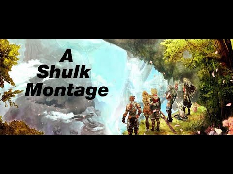 A Shulk Montage