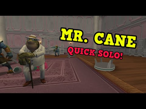 Wizard101 : MR. CANE | EASY QUICK SOLO!