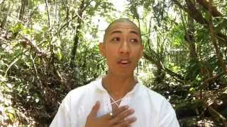 Ayahuasca Diet For Your Deepest Healing, If You're Willing To...