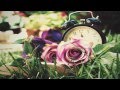 Bryan Ferry A Song For Europe