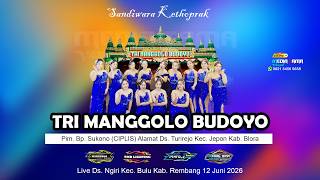 Download lagu Live Streaming Malam TRI MANGGOLO BUDOYO | Ngiri Bulu Rembang 12 Juni 2026 | PUTRA AUDIO MEDIA TAMA mp3
