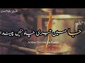 Ja Main Teri Chaa Ni Peendi Saeed Aslam Poetry Tea Poetry Chai Poetry 2020 WhatsApp Status