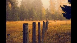 L'UNIVERS DE BRESLEV