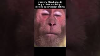 Download lagu When my friend goes to buy a drink and brings me one back without asking mp3 Download lagu When my friend goes to buy a drink and brings me one back without asking mp3