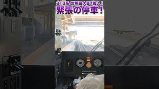 【313系】ブレーキ全開！ 常用最大投入！