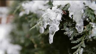 Cressida – Winter is Coming Again (Music Video)