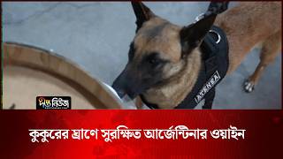 কুকুরের ঘ্রাণে সুরক্ষিত আর্জেন্টিনার ওয়াইন | Dogs Protect | Deepto News