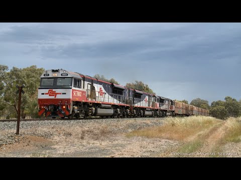 SCT 5PM9 Freight Train With SCT002, SCT003 & SCT012 (22/11/2020) - PoathTV Australian Railways