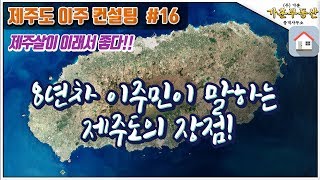 [제주도 이주 컨설팅 #16] 제주살이 이래서 좋다! 제주도 8년차 이주민이 말하는 제주도의 장점! [가훈부…