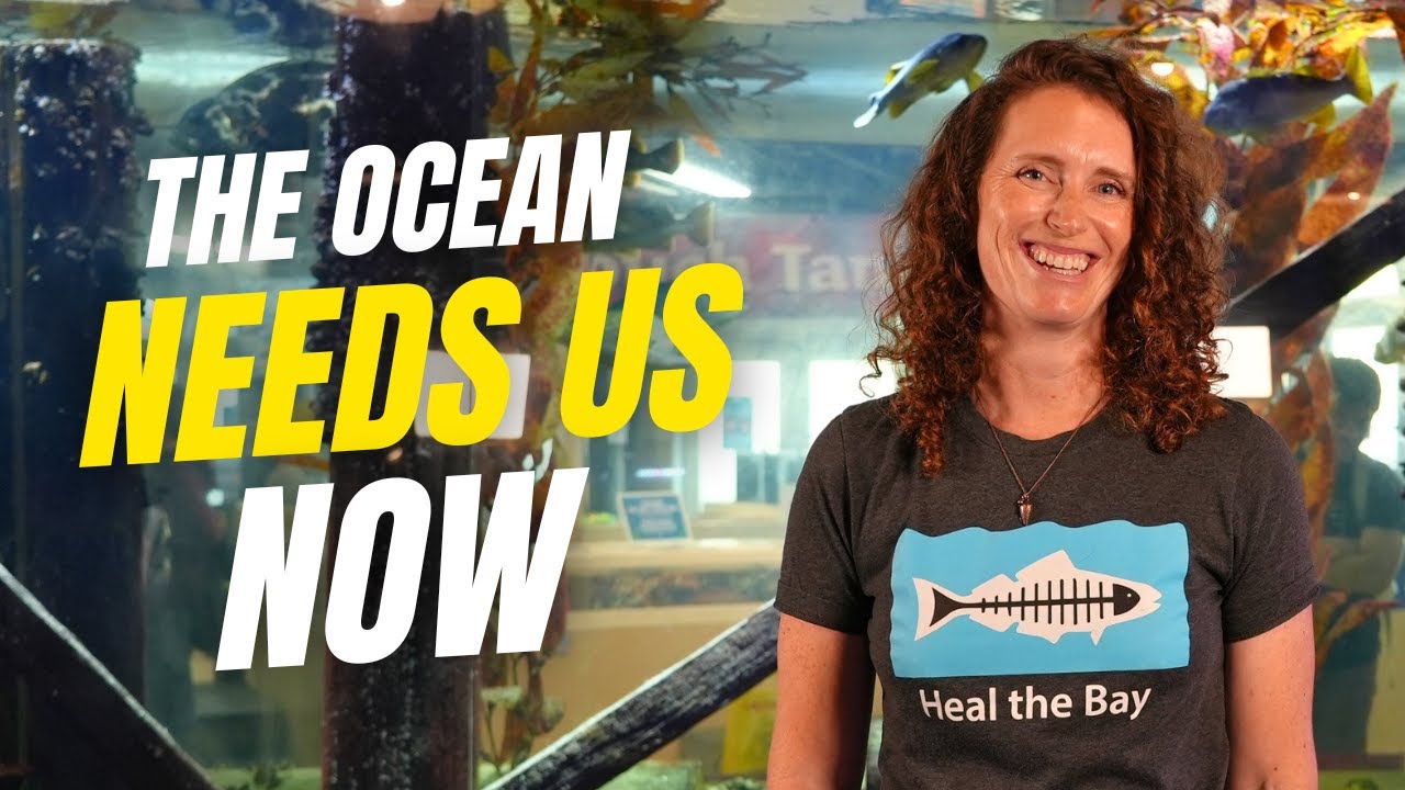 Making Aquaculture More Sustainable: Laura Rink | Drawdown’s Neighborhood: LA