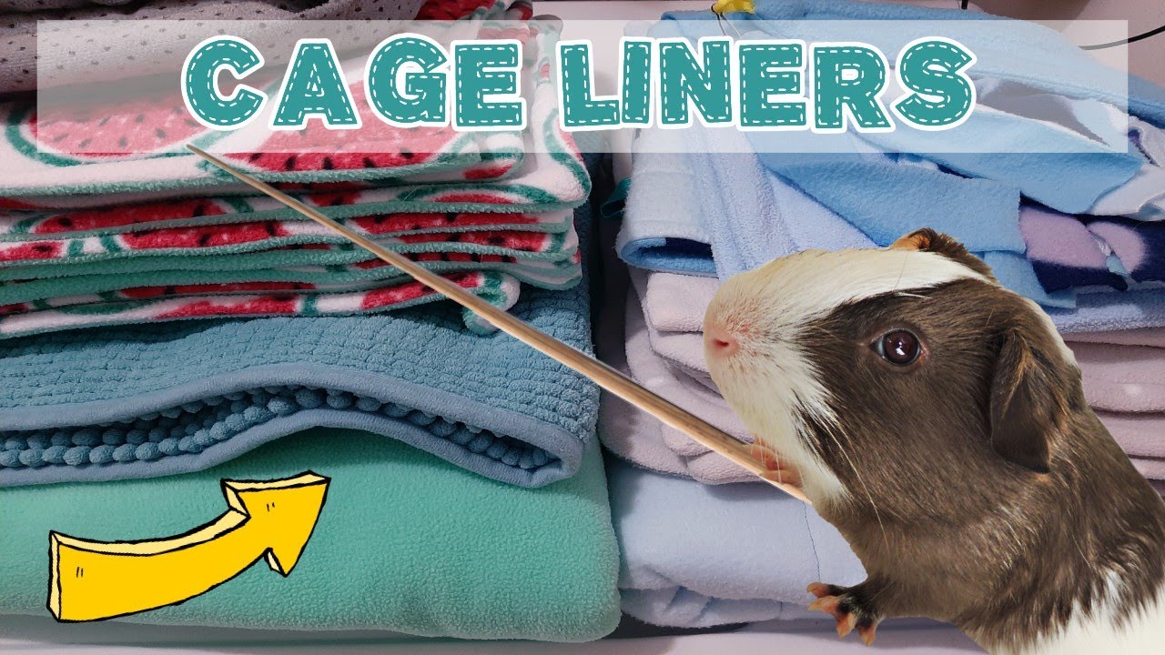 Guinea Pig Cage with Fleece Liners
