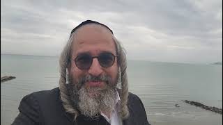 בית המדרש הווירטואלי עמוד מוהר"ן מתוך לימוד ה'עמוד היומי' ליקוטי מוהר"ן טז' עמוד א' תורות: רמא – רמד (הרב מוטה פראנק) - התמונה מוצגת ישירות מתוך אתר האינטרנט יוטיוב. זכויות היוצרים בתמונה שייכות ליוצרה. קישור קרדיט למקור התוכן נמצא בתוך דף הסרטון