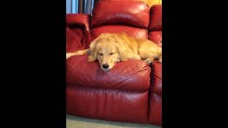 She smiles when talked to