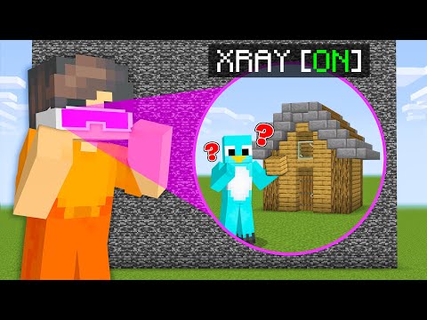 I Cheated with X-RAY in a Minecraft Build Challenge!