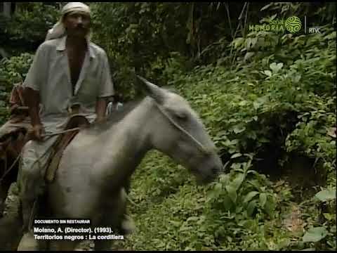 Las travesías de Alfredo Molano en Patía, Cauca (1994)