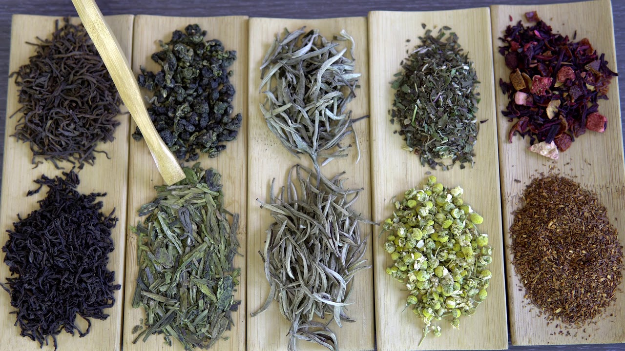 ¿Qué es el té? - Diferencias entre los diferentes tipos de té y otras infusiones.