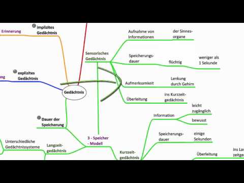 Gedächtnis - Psychologie